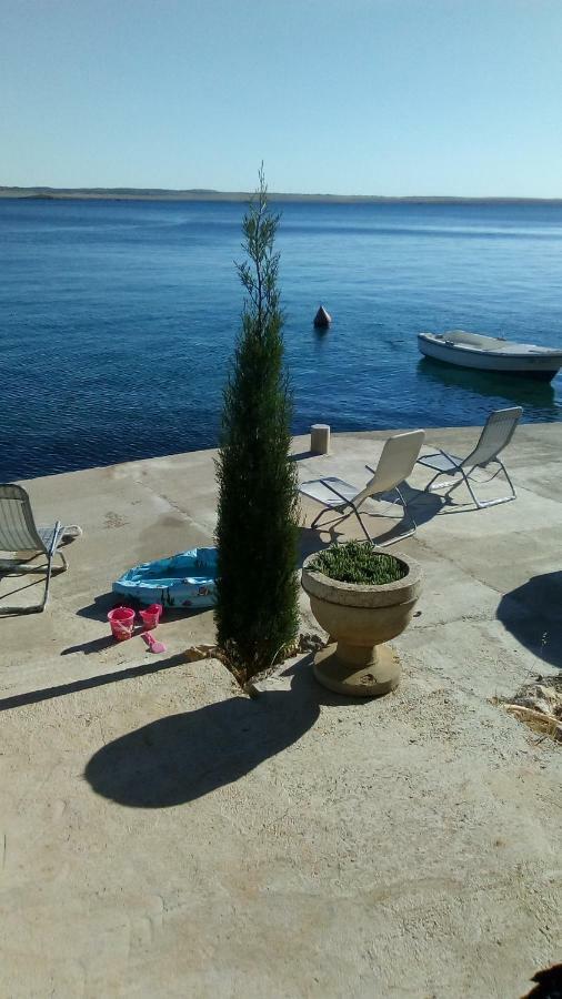 Ante Apartment Starigrad Paklenica Zewnętrze zdjęcie